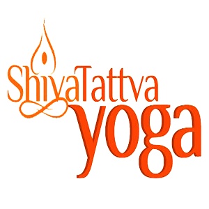 300 Hour Vinyasa Yoga Teacher Training Course in Rishikesh (India)